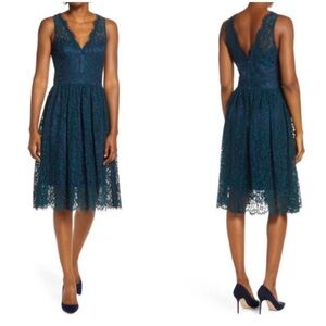 Eliza J Lace Midi Dress in Blue with Green Lace